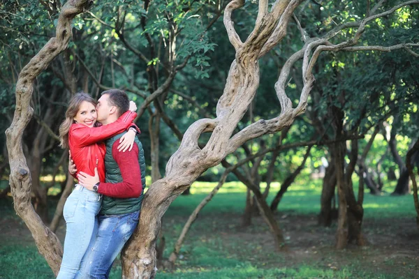 Kaunis nuori pari treffeillä puistossa — kuvapankkivalokuva