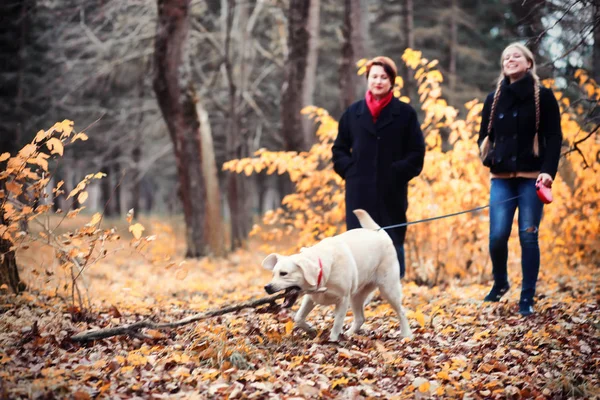 Mor Och Tonåring Promenad Höstträdgården — Stockfoto