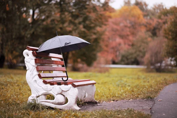 Deštivé podzimní park v říjnu — Stock fotografie