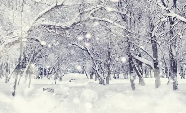 Winterwaldlandschaft. hohe Bäume unter einer Schneedecke. Januar — Stockfoto