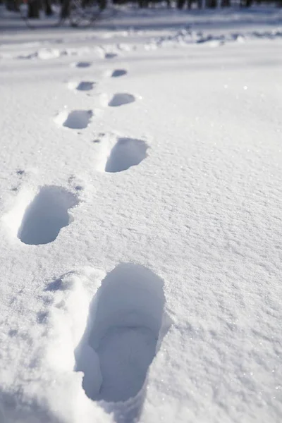 The texture of the snow. Winter rainfall. Tracks on a snowy road — Stock Photo, Image