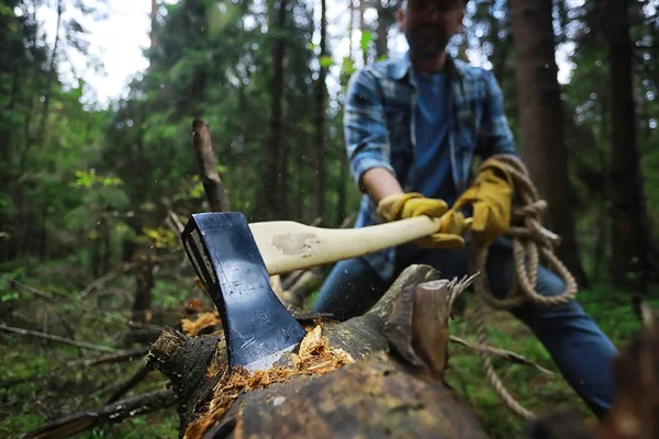 Male worker with an ax chopping a tree in the forest. — Foto de Stock