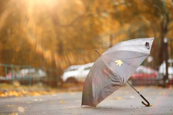 Sfondo autunnale nel parco — Foto Stock