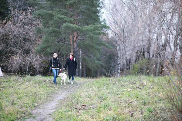 Madre Hija Adolescente Paseando Por Jardín Otoño — Foto de Stock