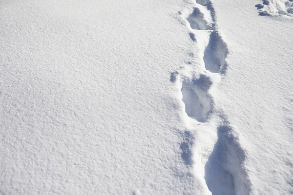 The texture of the snow. Winter rainfall. Tracks on a snowy road — Stock Photo, Image