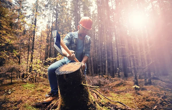 Male worker with an ax chopping a tree in the forest. — Foto Stock