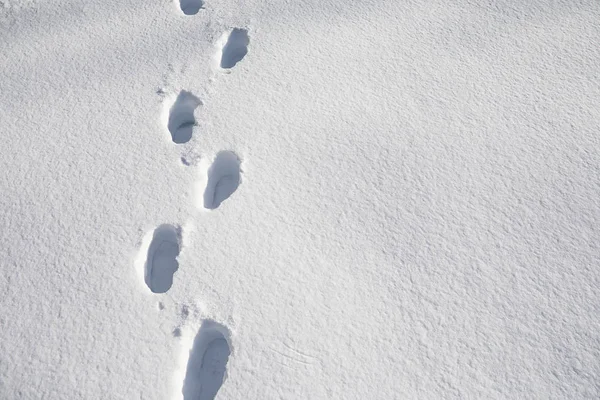 The texture of the snow. Winter rainfall. Tracks on a snowy road — Stock Photo, Image