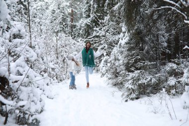 Genç bir aile yürüyüşe çıktı. Anne ve kızı şarapla yürüyorlar.