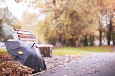 Ekim ayında sonbahar yağmurlu park