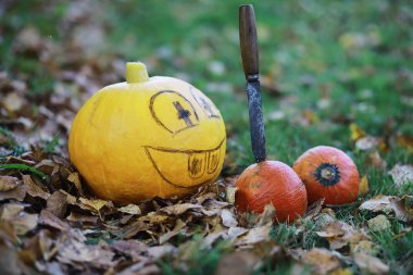 Sonbahar gelenekleri ve Cadılar Bayramı hazırlıkları. A 