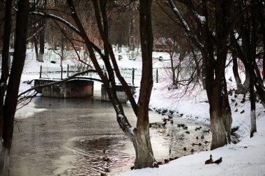 Kırsal alanların ve yolların kış manzarası