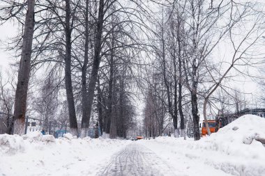 Kış orman manzarası. Kar altında uzun ağaçlar. Ocak 1