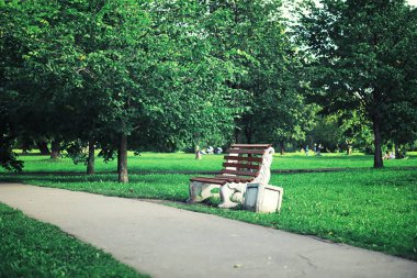 Parlak bahar, şafakta ormanda yeşilleniyor. Doğa ilkbaharın başlarında canlanır..