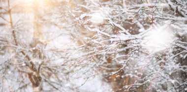 Winter Park 'ta. Karlı havada manzara manzarası. Ocak.