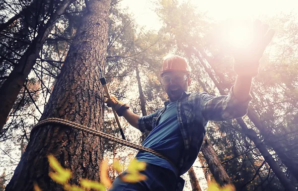 Male worker with an ax chopping a tree in the forest. — Foto Stock