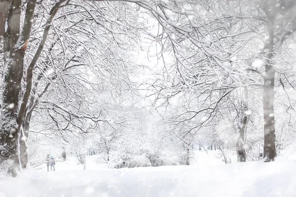 Paysage hivernal. Forêt sous la neige. L'hiver dans le parc . — Photo