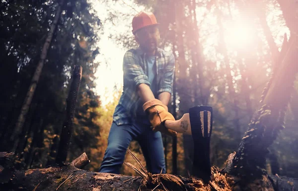 Male worker with an ax chopping a tree in the forest. — Foto Stock