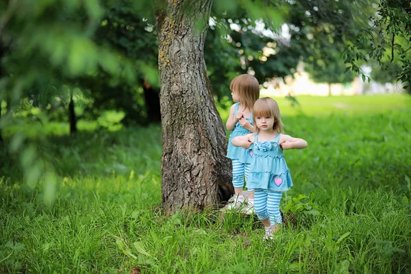 Две Девочки Близнецы Прогулке Парке — стоковое фото