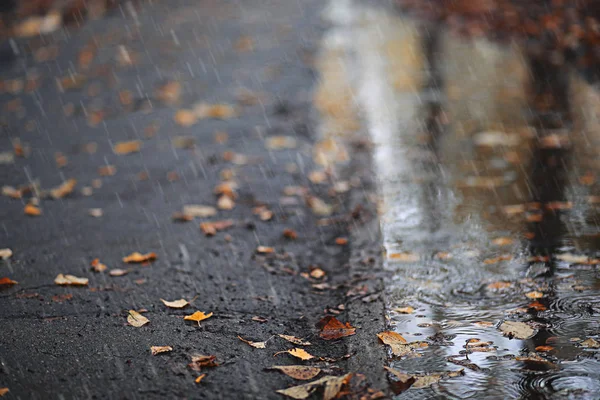 Autumn rain in the park — Stock Photo, Image
