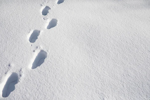 The texture of the snow. Winter rainfall. Tracks on a snowy road — Stock Photo, Image