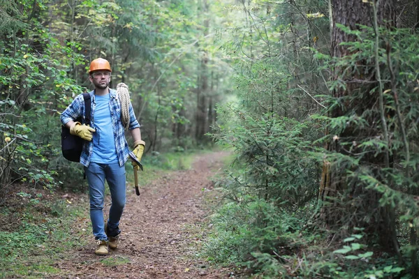 Boscaiolo maschio nella foresta. Ispezione di un taglialegna professionale — Foto Stock