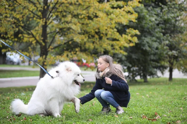 Preciosa Chica Paseo Con Hermoso Perro — Foto de Stock