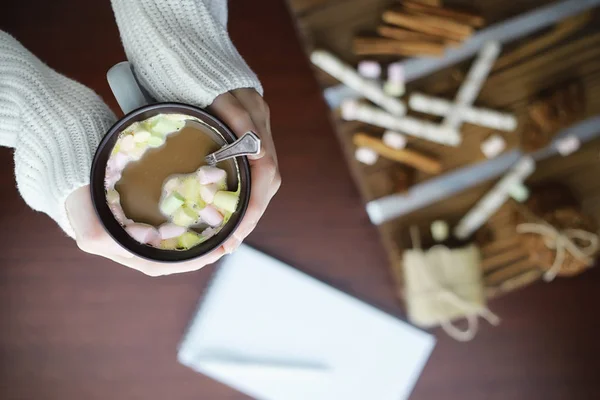 Petit déjeuner d'hiver. Une tasse de chocolat chaud avec des guimauves et f — Photo