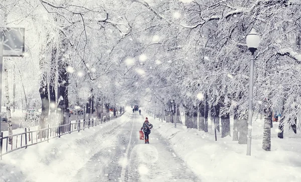 Paesaggio forestale invernale. Alberi alti sotto il manto di neve. Gennaio fr — Foto Stock