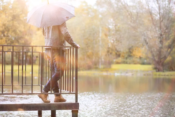 Sfondo autunnale nel parco — Foto Stock