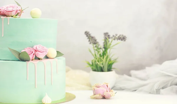 휴일 과자 맛 케이크 — 스톡 사진
