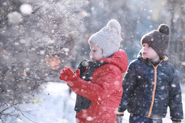 Çocuklar parkta ilk kar yürümek — Stok fotoğraf