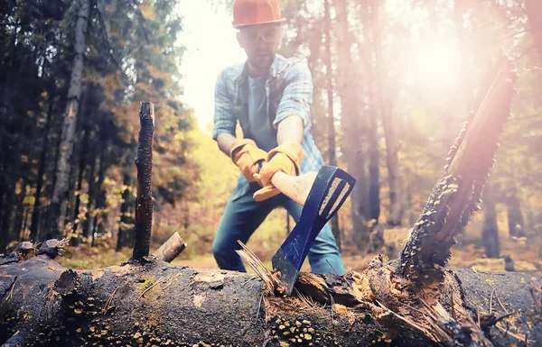 Male worker with an ax chopping a tree in the forest. — Foto de Stock