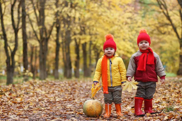 Los niños caminan en la naturaleza. Crepúsculo niños están caminando alrededor —  Fotos de Stock