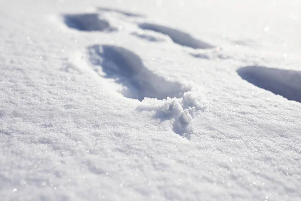 The texture of the snow. Winter rainfall. Tracks on a snowy road — Stock Photo, Image