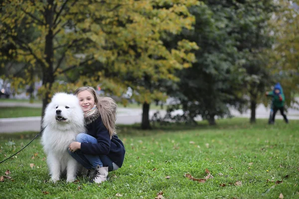 Härlig Flicka Promenad Med Vacker Hund — Stockfoto
