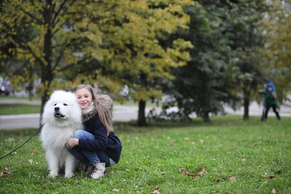 美しい犬と散歩中の素敵な女の子 — ストック写真