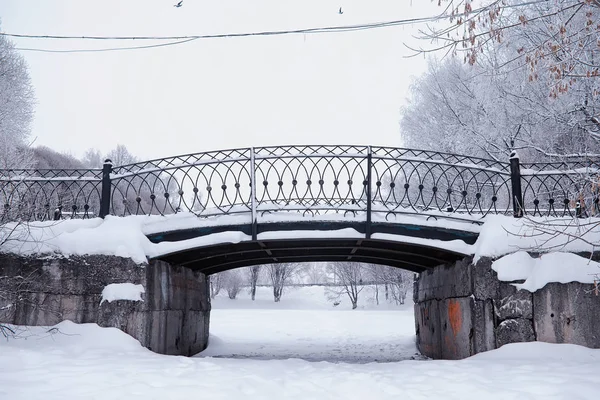 Winterwaldlandschaft. hohe Bäume unter einer Schneedecke. Januar — Stockfoto