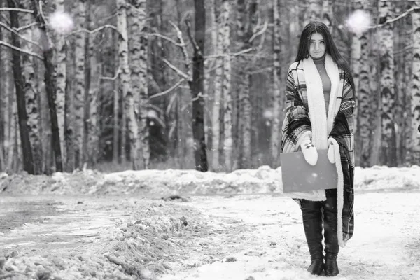 Una chica en un día nublado de invierno — Foto de Stock