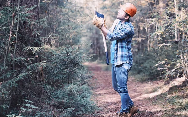 Boscaiolo maschio nella foresta. Ispezione di un taglialegna professionale — Foto Stock