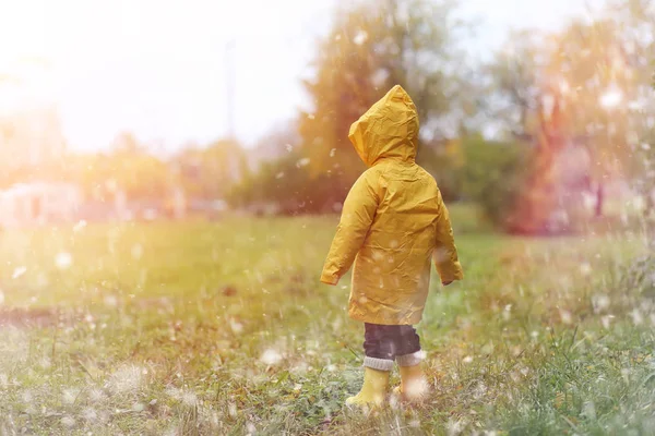 A child in a raincoat for a walk outside in autumn