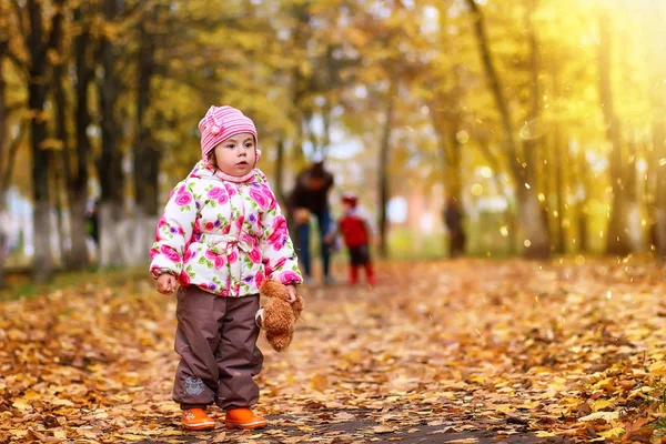 Barn Att Kul Promenad Höstparken — Stockfoto