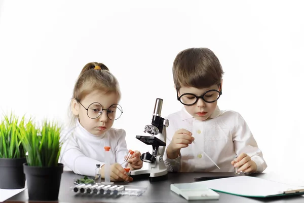 Young scientists chemists. Doctor, laboratory assistant.