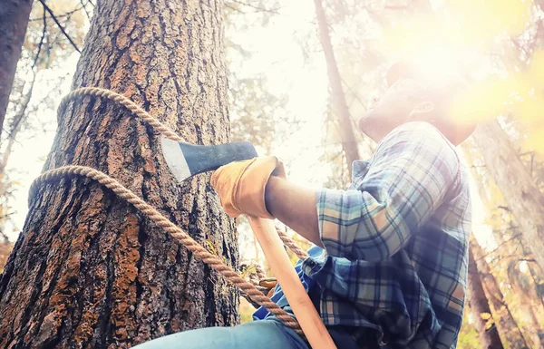 Чоловік працівник з сокирою рубає дерево в лісі . — стокове фото
