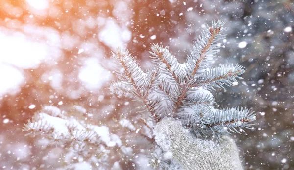 雪の風景には、広がりが覆われています。冬の公園 — ストック写真