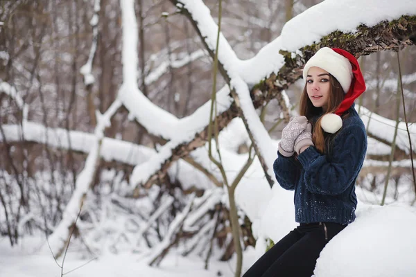 Genç bir kız bir kış parkta bir yürüyüş. Noel tatili t