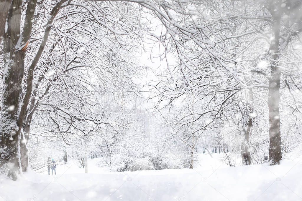 Winter landscape. Forest under the snow. Winter in the park.