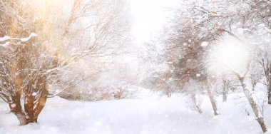 Winter Park 'ta. Karlı havada manzara manzarası. Ocak.