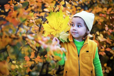 Çocuk sonbahar Park walk