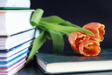 Masanın üzerinde bir yığın kitap ve ders kitabı var. Bilme konsepti