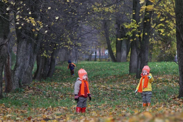 Маленькі Діти Парку Гуляють Відкритому Повітрі — стокове фото